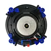 Economy and High-End Speaker Factory in China